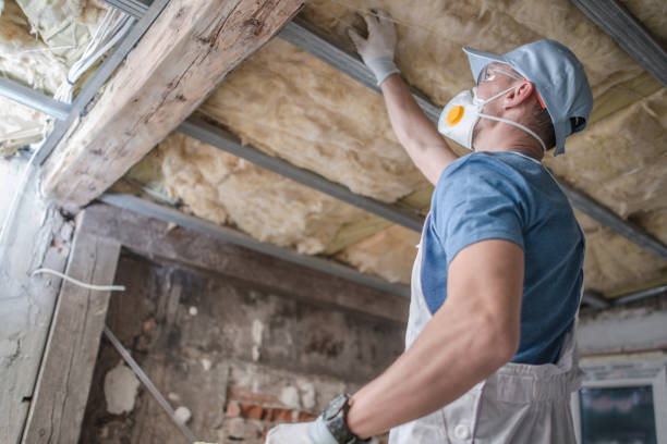 Best Local Insulation Services  in Loretto, TN