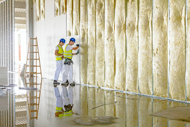 Best Energy-efficient Insulation  in Loretto, TN
